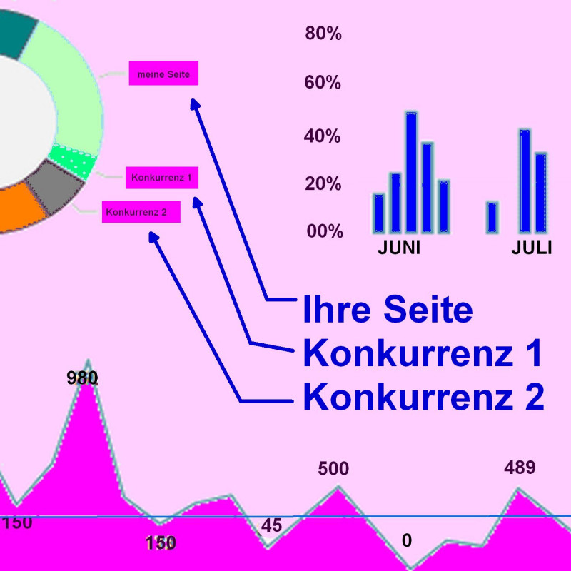 Home Page Analyse ab 5.- Euro kaufen