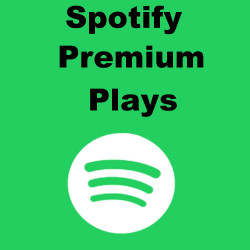 Buy-Premium-Spotify-Plays-Spotify Premium-Plays ab 1.- Euro kaufen