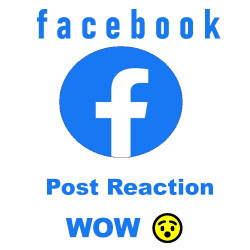 Facebook Post Reaction | WOW 😯 nur hier ab 4.- kaufen