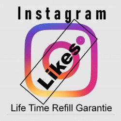 Instagram Likes- ab 2.- Euro kaufen PayPal Crypto-Checkout