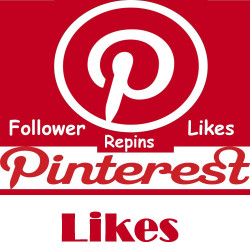 Pinterest Likes super guenstig kaufen|ab 3.- PayPal Checkout-diskret
