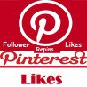 Pinterest Likes super guenstig kaufen|ab 3.- PayPal Checkout-diskret