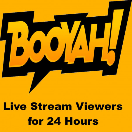 Live Stream Viewers-for 24 Hours 100 Viewers for 5 Euro