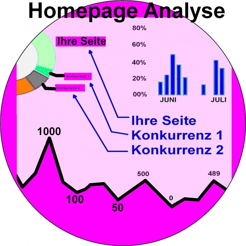 Home Page analyse - Website analysieren-Seo selber machen