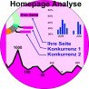 Home Page analyse - Website analysieren-Seo selber machen