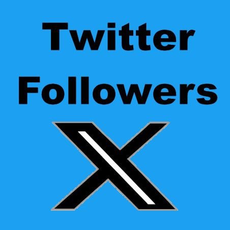 Twitter real Followers super günstig ab 100 X nur 9 Euro