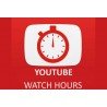 YouTube WatchTime bis 45 Min. Videos aktiv Member buy